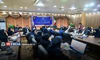 کمیته دانشگاهی بررسی مرگ نوزادان در دانشگاه علوم پزشکی اهواز برگزار شد