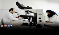 آزمایشگاه مرجع منطقه‌ای سل اهواز، آزمایشگاه برتر مهارت‌آزمایی خارجی ۲۰۲۵ شد